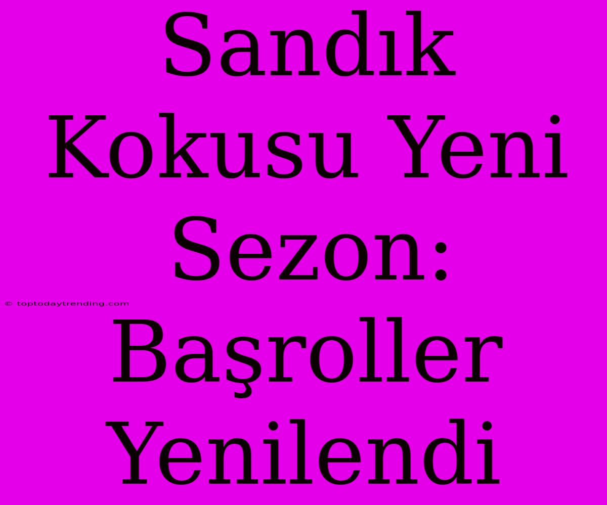 Sandık Kokusu Yeni Sezon: Başroller Yenilendi