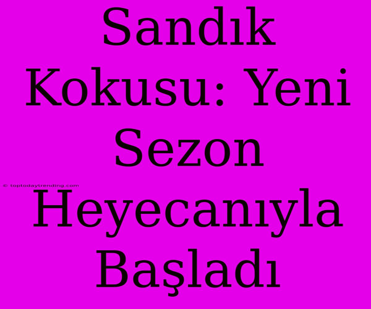 Sandık Kokusu: Yeni Sezon Heyecanıyla Başladı