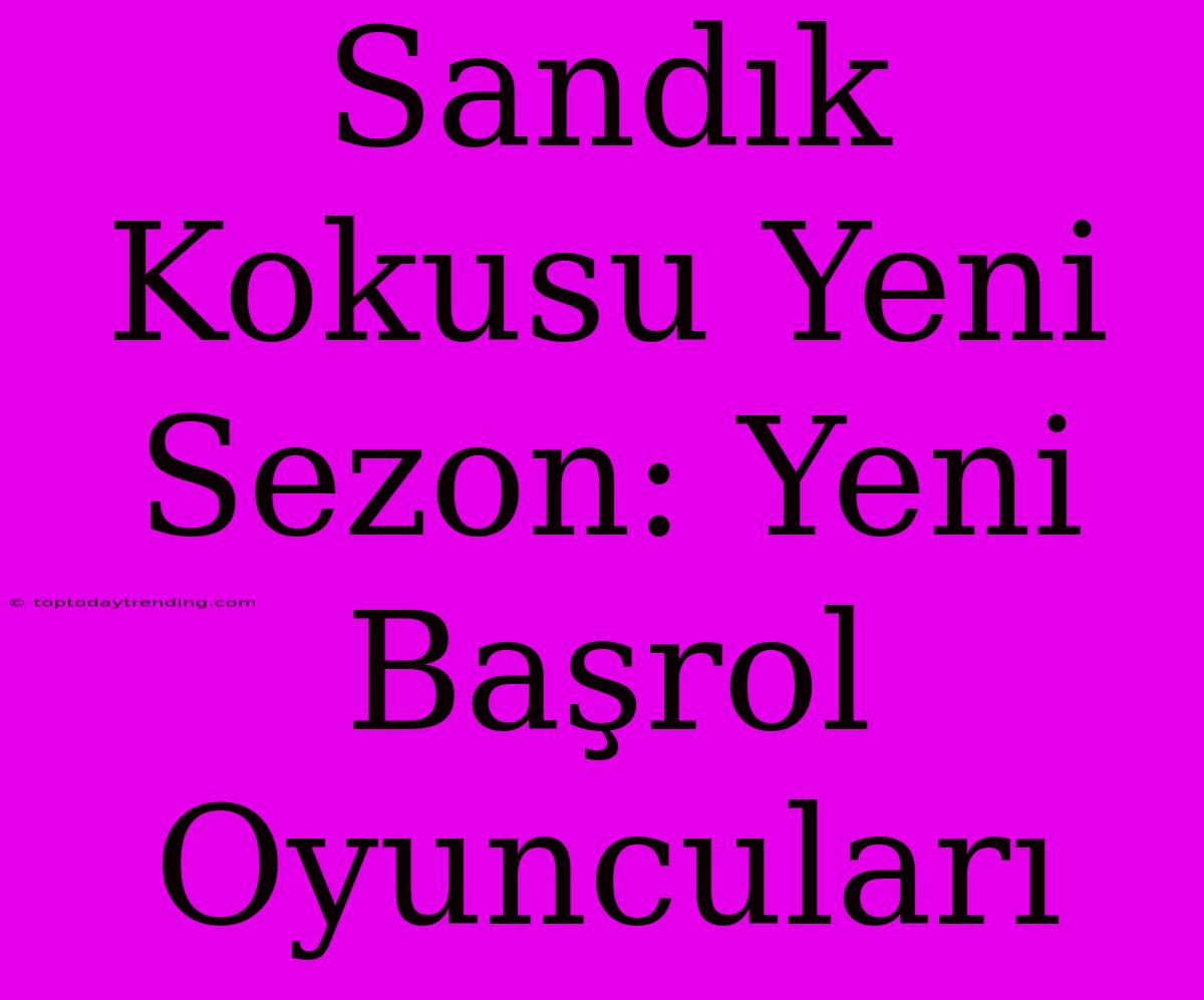 Sandık Kokusu Yeni Sezon: Yeni Başrol Oyuncuları