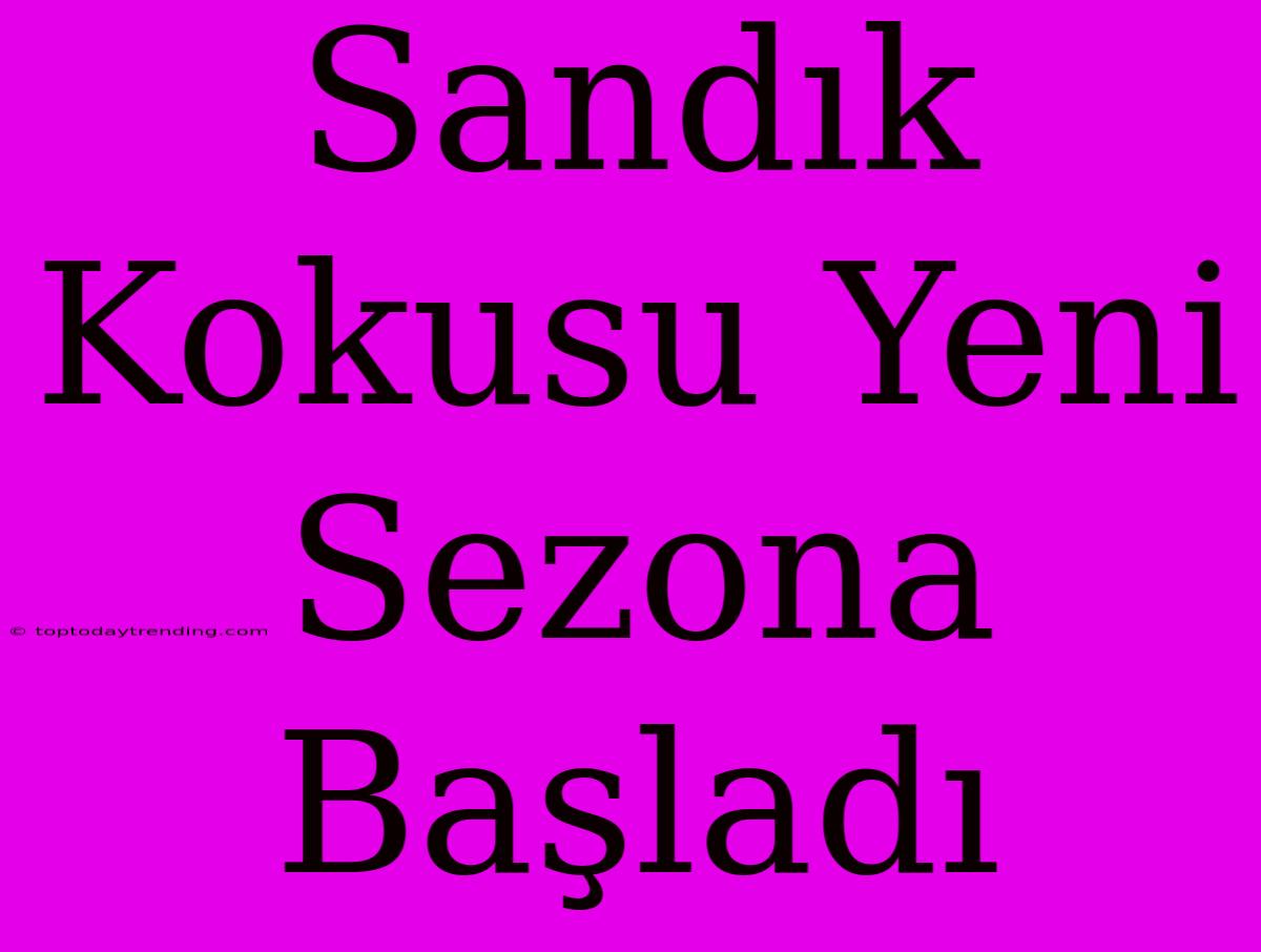 Sandık Kokusu Yeni Sezona Başladı