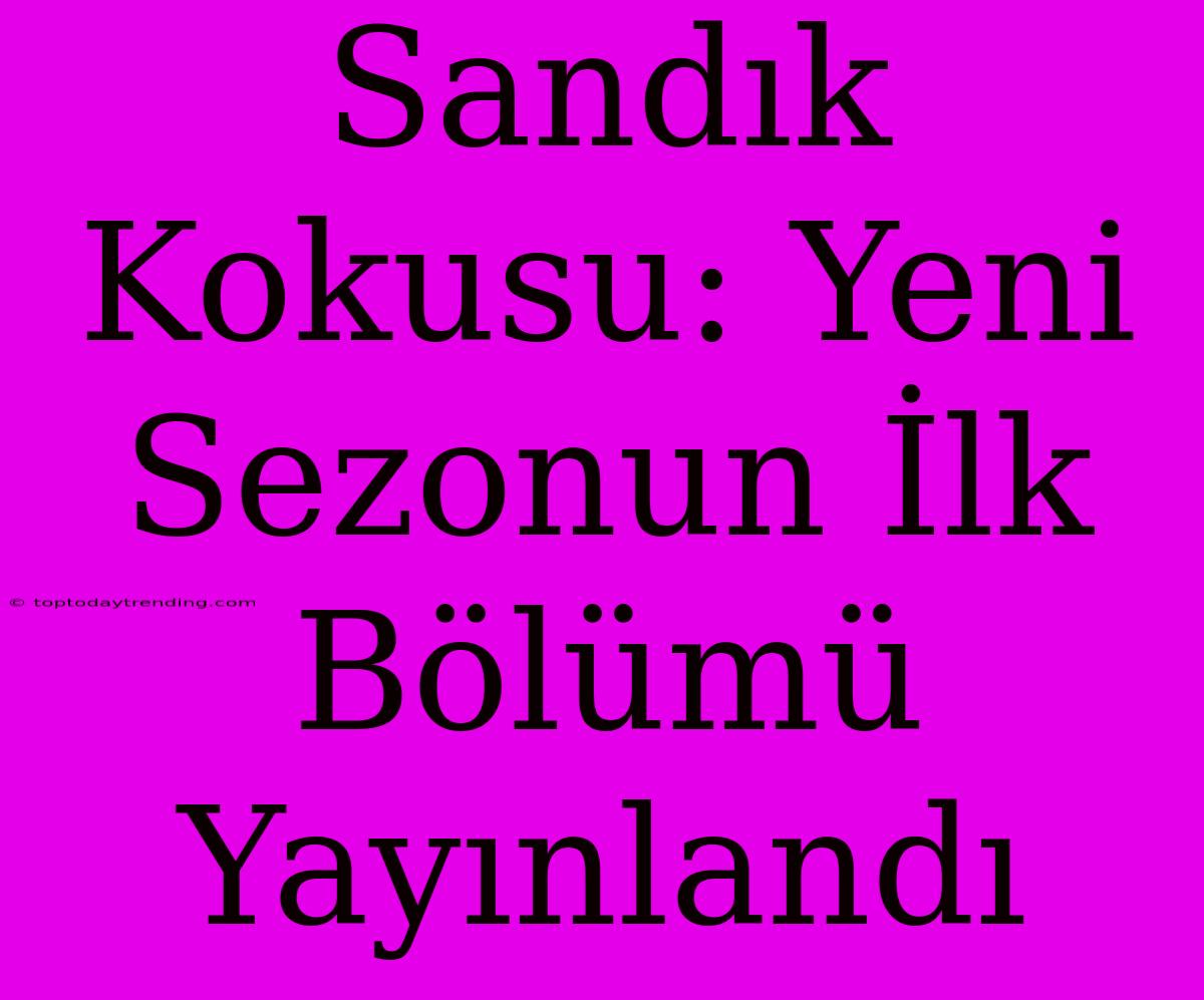 Sandık Kokusu: Yeni Sezonun İlk Bölümü Yayınlandı