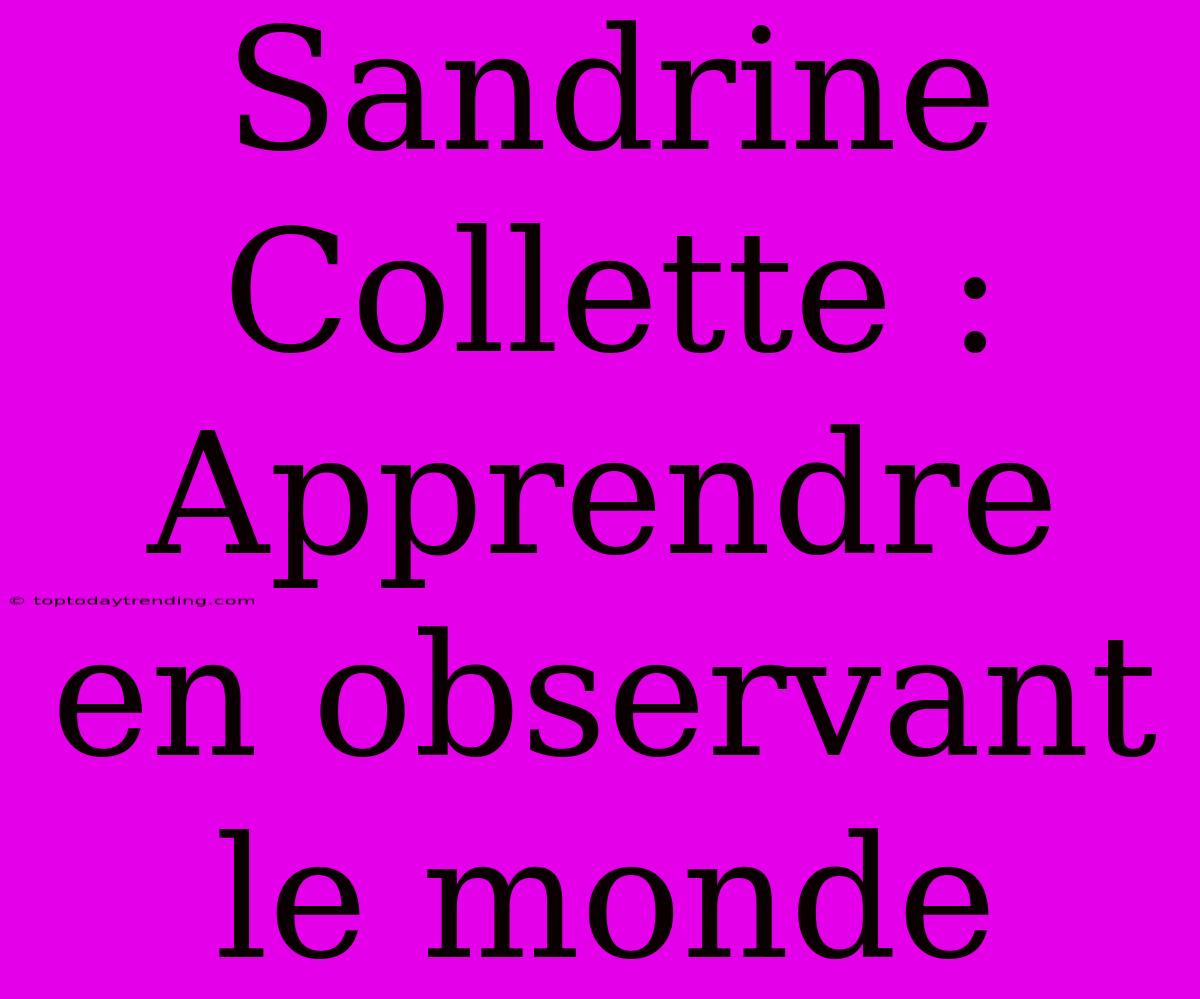 Sandrine Collette : Apprendre En Observant Le Monde