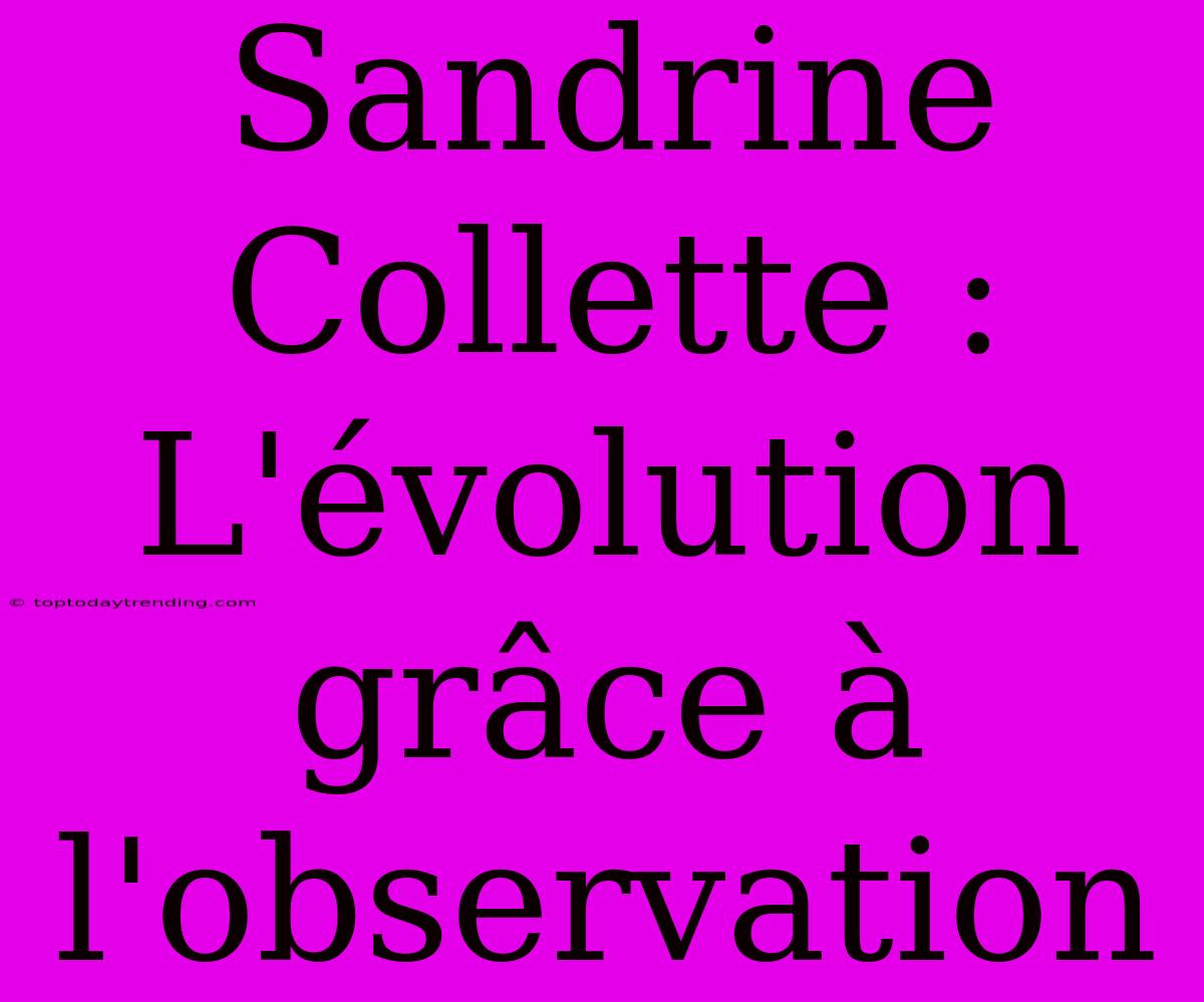 Sandrine Collette : L'évolution Grâce À L'observation