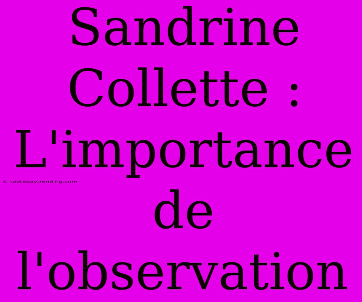 Sandrine Collette : L'importance De L'observation