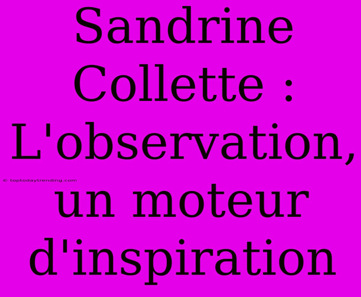 Sandrine Collette : L'observation, Un Moteur D'inspiration