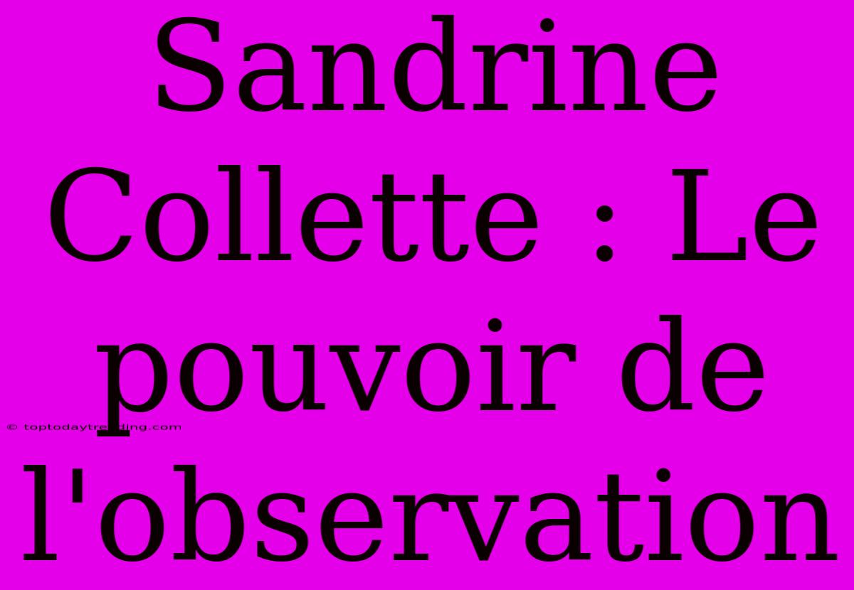 Sandrine Collette : Le Pouvoir De L'observation