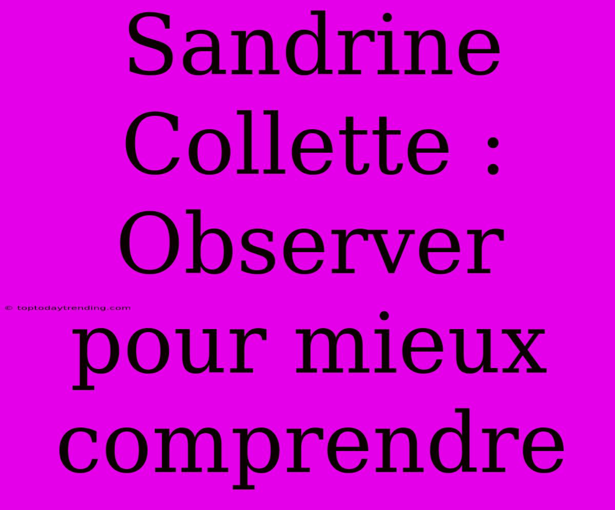 Sandrine Collette : Observer Pour Mieux Comprendre