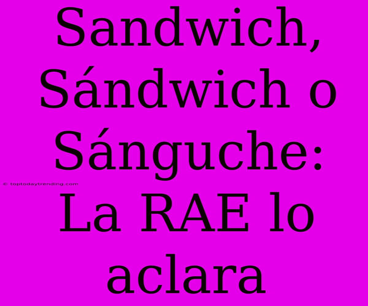 Sandwich, Sándwich O Sánguche: La RAE Lo Aclara