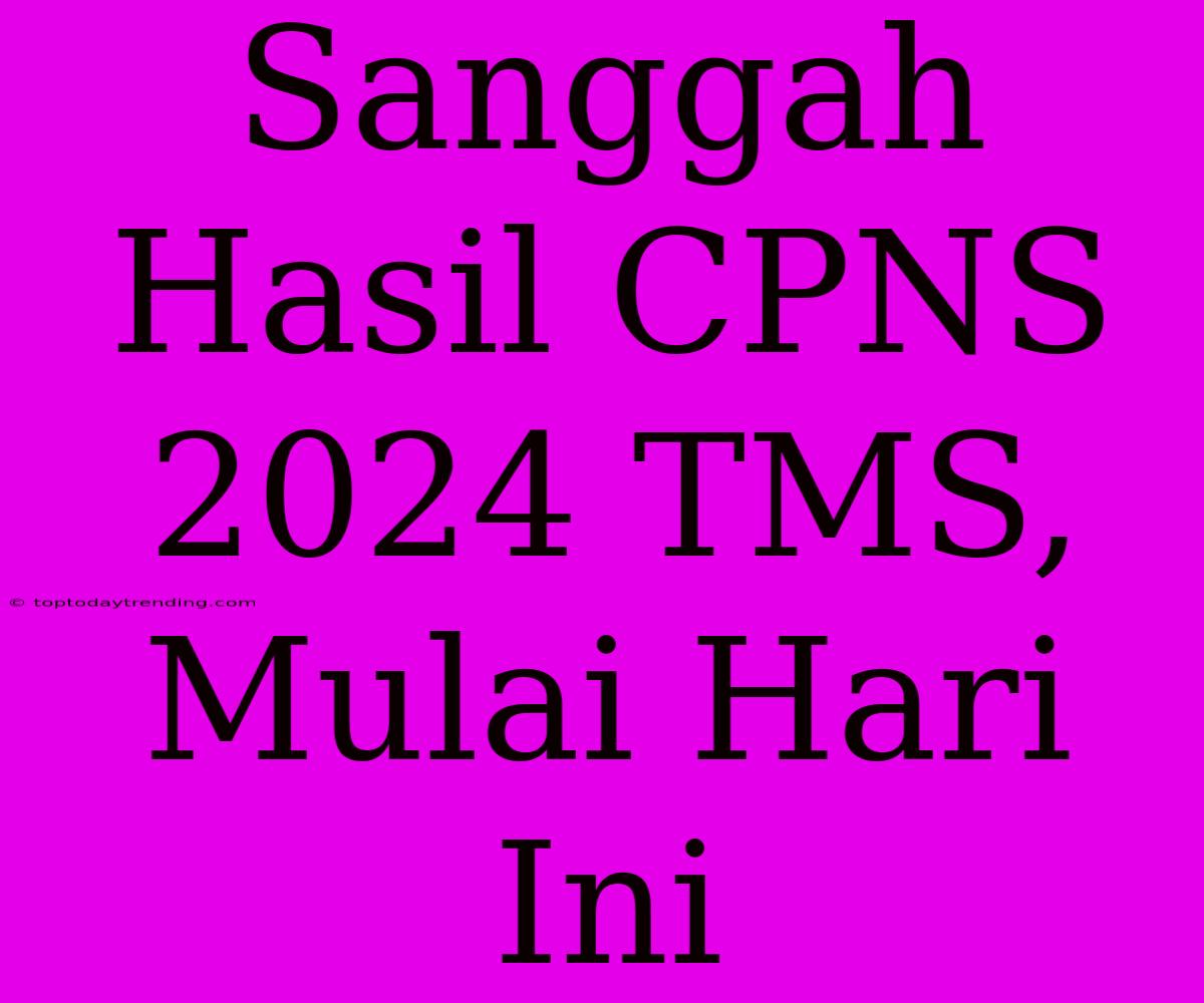 Sanggah Hasil CPNS 2024 TMS, Mulai Hari Ini