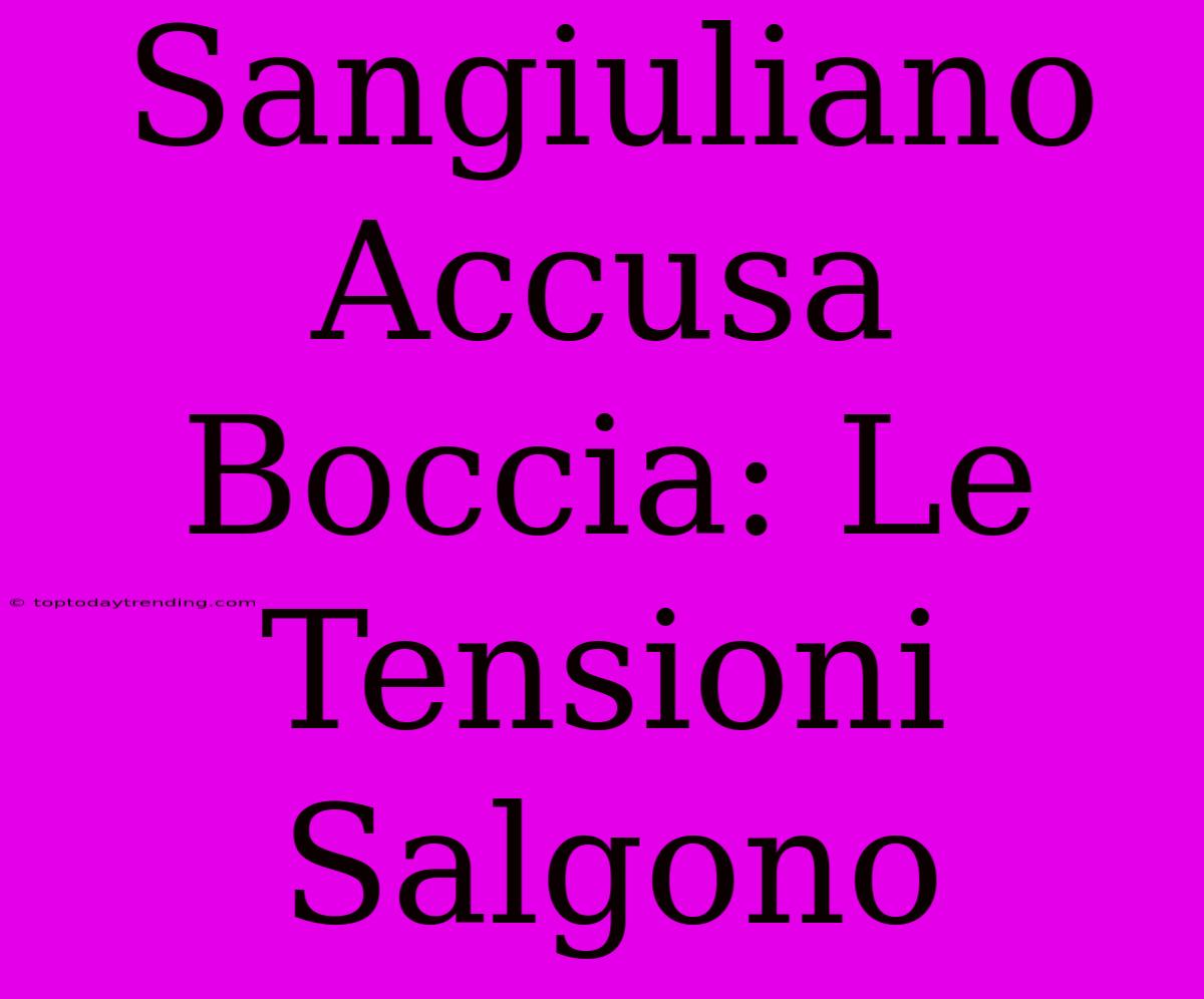 Sangiuliano Accusa Boccia: Le Tensioni Salgono