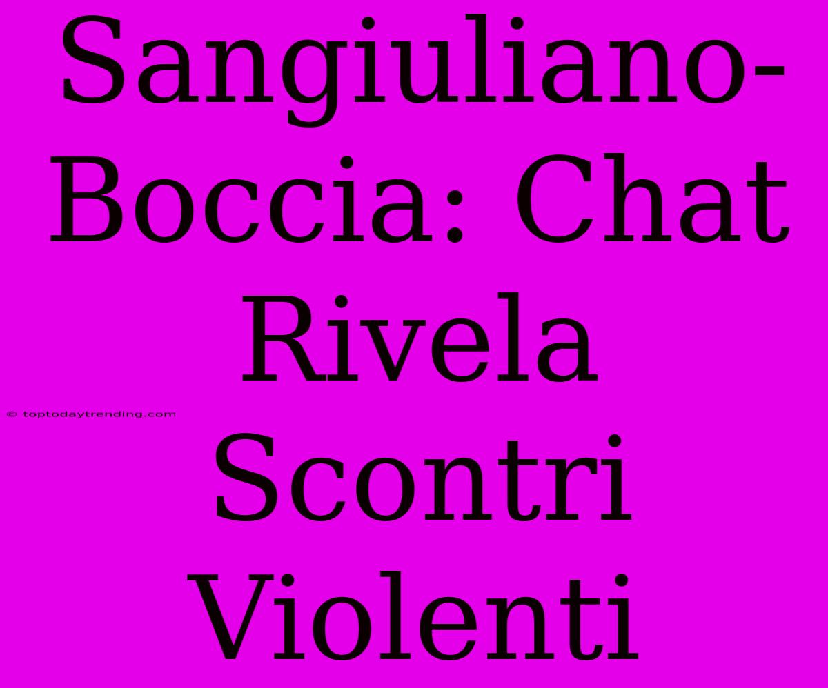 Sangiuliano-Boccia: Chat Rivela Scontri Violenti