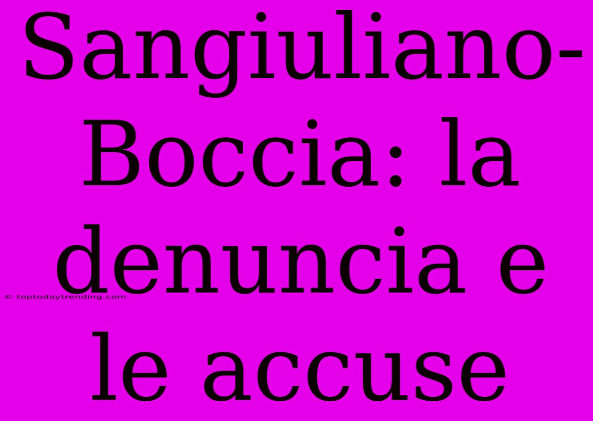 Sangiuliano-Boccia: La Denuncia E Le Accuse