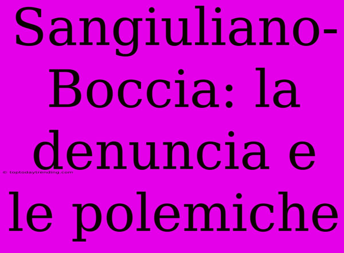 Sangiuliano-Boccia: La Denuncia E Le Polemiche