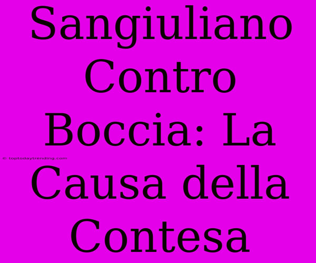 Sangiuliano Contro Boccia: La Causa Della Contesa