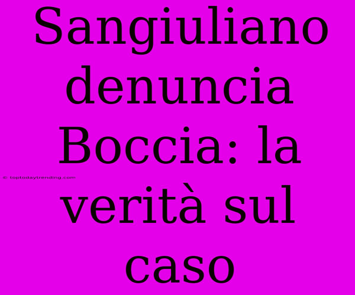 Sangiuliano Denuncia Boccia: La Verità Sul Caso