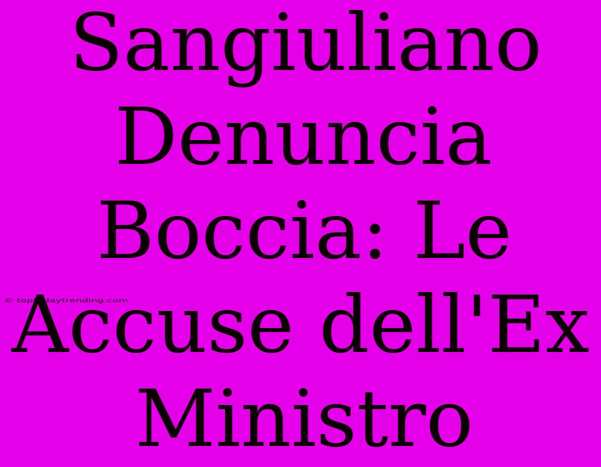 Sangiuliano Denuncia Boccia: Le Accuse Dell'Ex Ministro