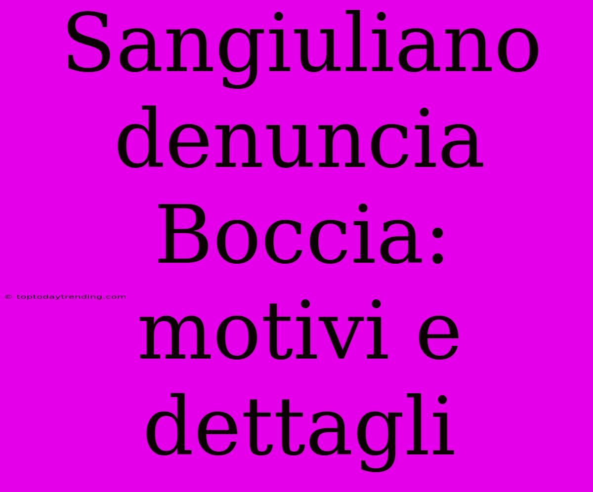 Sangiuliano Denuncia Boccia: Motivi E Dettagli