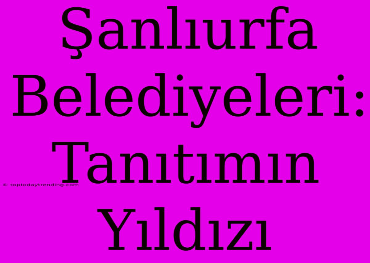 Şanlıurfa Belediyeleri: Tanıtımın Yıldızı