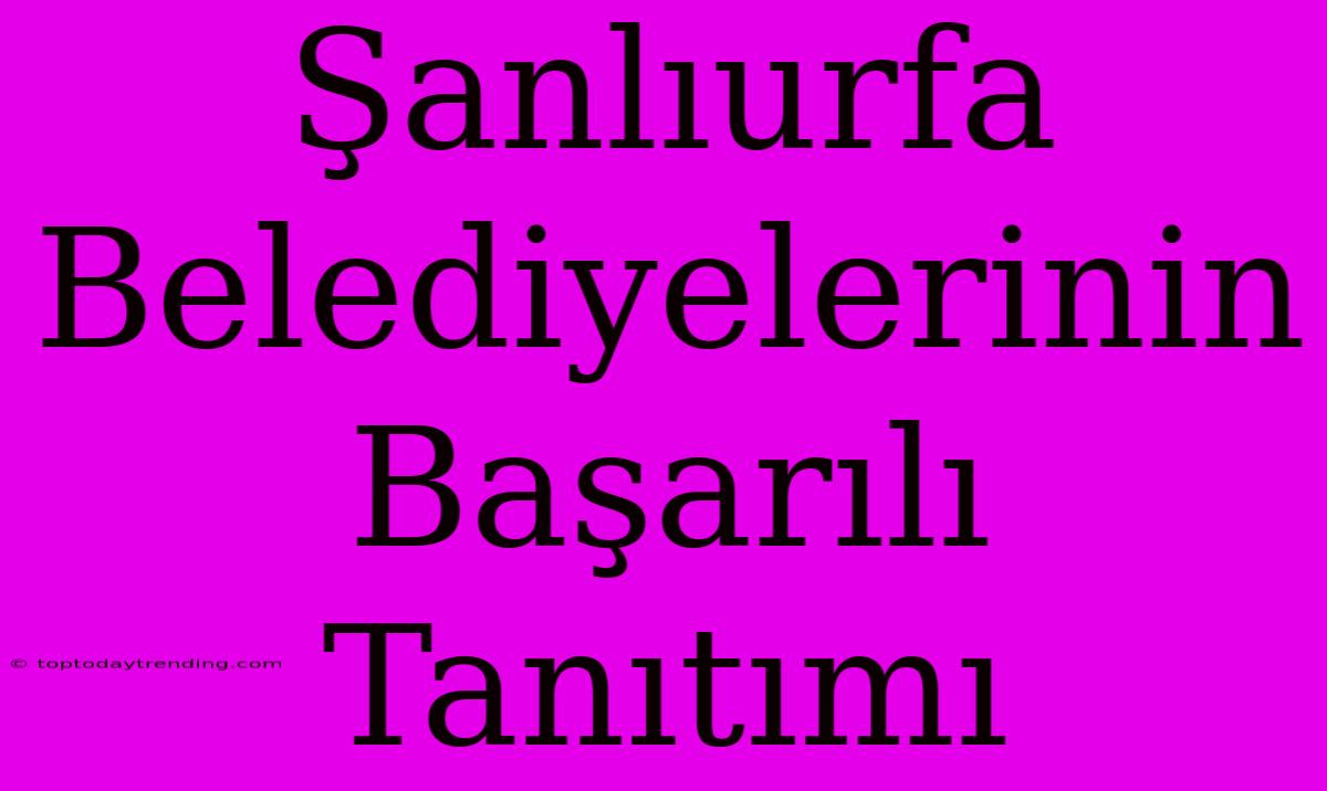 Şanlıurfa Belediyelerinin Başarılı Tanıtımı