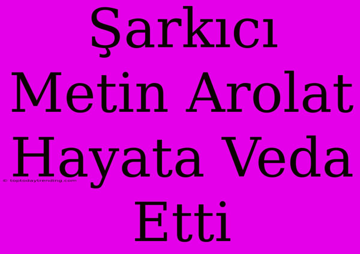 Şarkıcı Metin Arolat Hayata Veda Etti