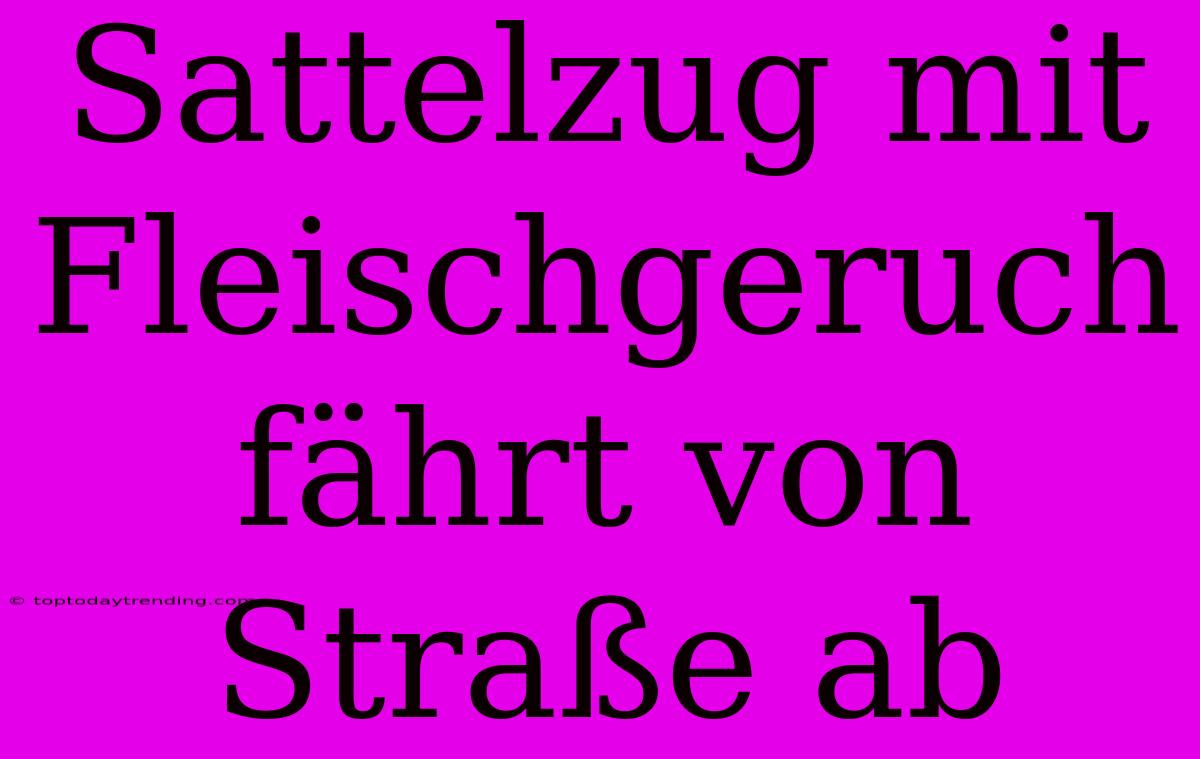 Sattelzug Mit Fleischgeruch Fährt Von Straße Ab