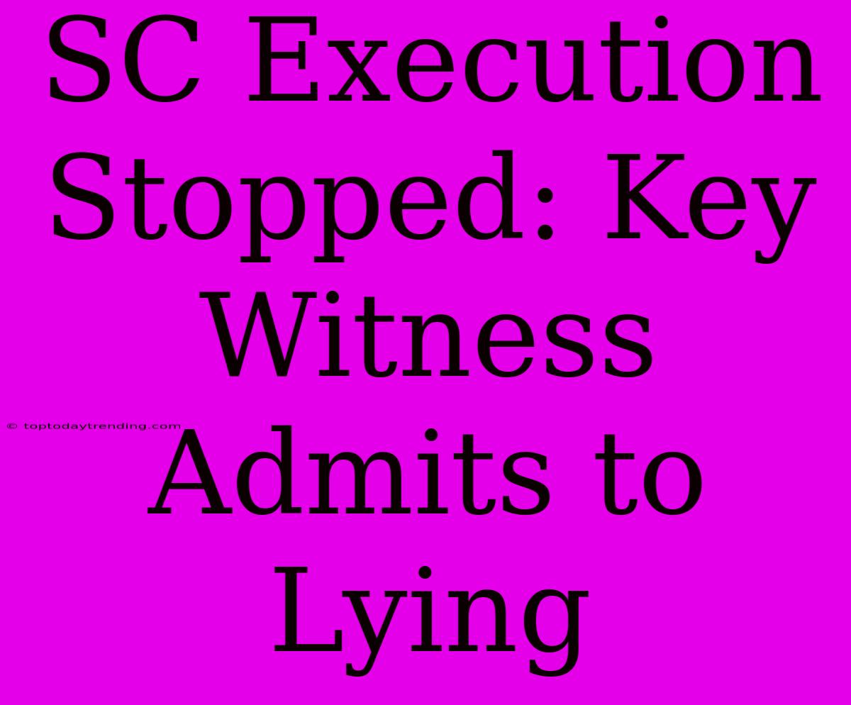 SC Execution Stopped: Key Witness Admits To Lying