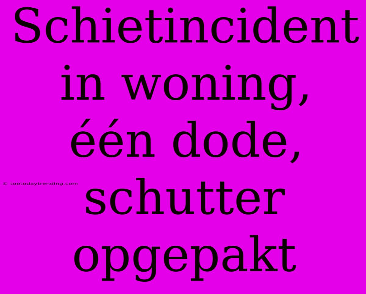 Schietincident In Woning, Één Dode, Schutter Opgepakt