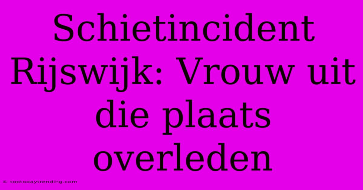 Schietincident Rijswijk: Vrouw Uit Die Plaats Overleden