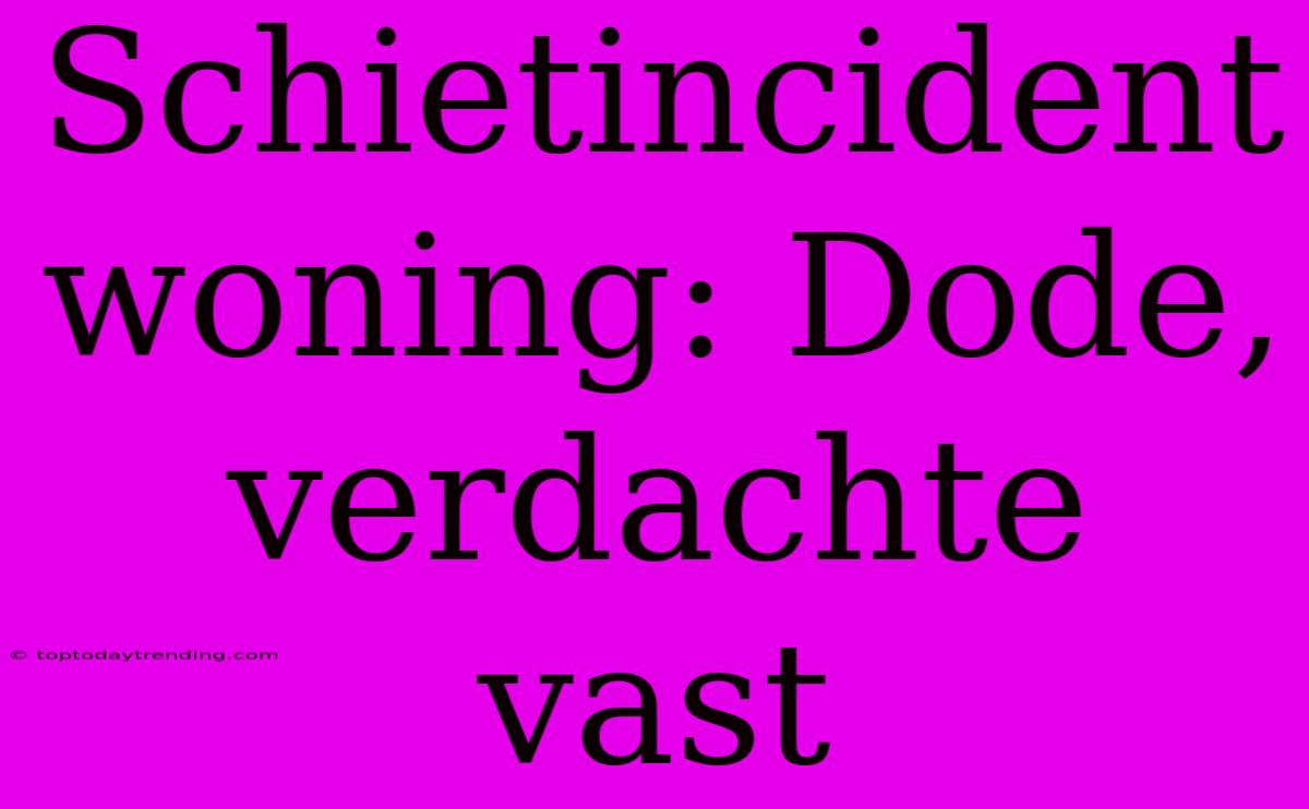 Schietincident Woning: Dode, Verdachte Vast