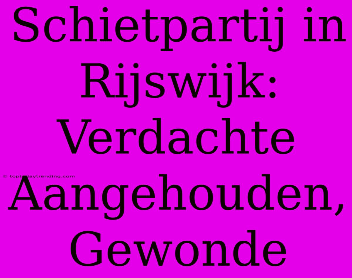 Schietpartij In Rijswijk: Verdachte Aangehouden, Gewonde