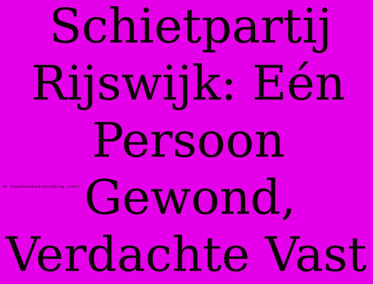 Schietpartij Rijswijk: Eén Persoon Gewond, Verdachte Vast