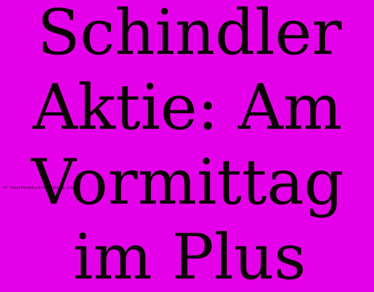 Schindler Aktie: Am Vormittag Im Plus