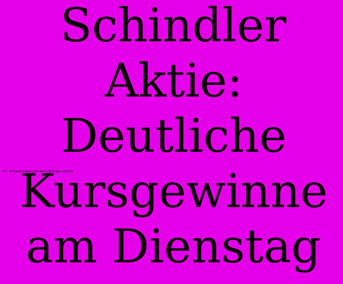 Schindler Aktie: Deutliche Kursgewinne Am Dienstag