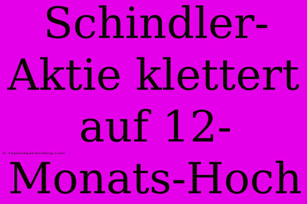 Schindler-Aktie Klettert Auf 12-Monats-Hoch