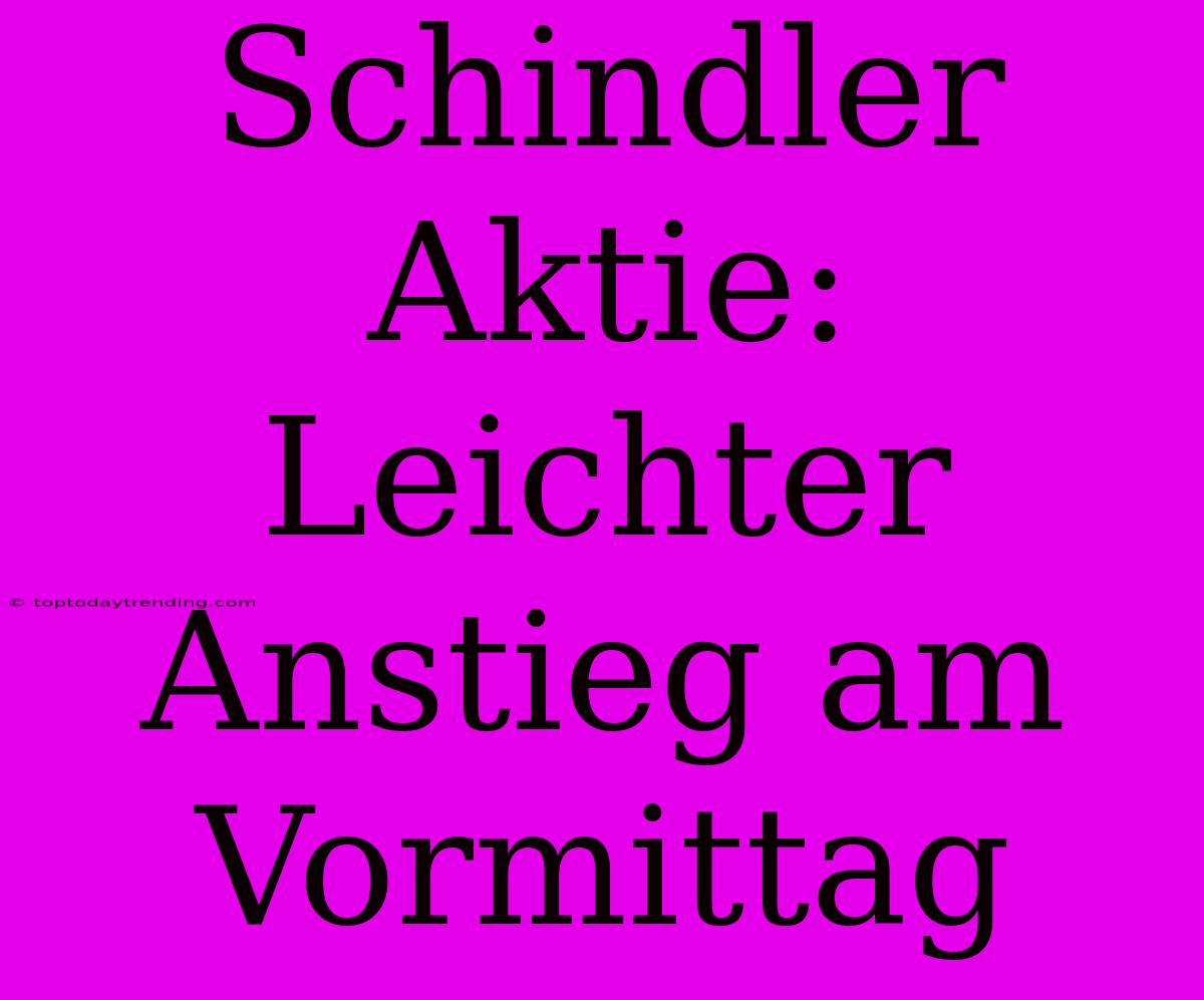 Schindler Aktie: Leichter Anstieg Am Vormittag