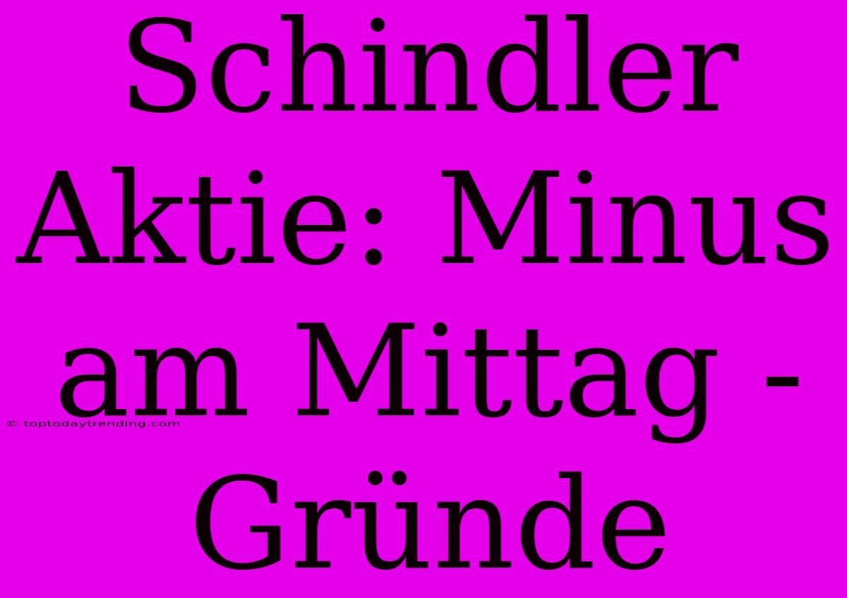 Schindler Aktie: Minus Am Mittag - Gründe