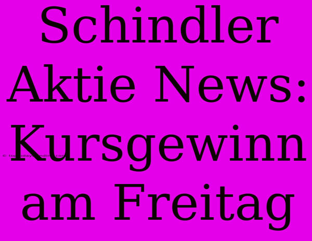 Schindler Aktie News: Kursgewinn Am Freitag