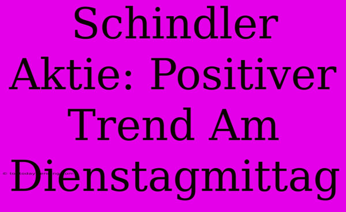 Schindler Aktie: Positiver Trend Am Dienstagmittag