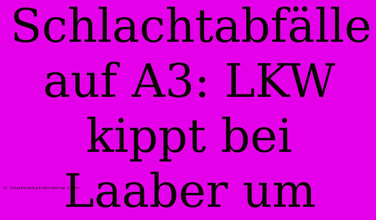 Schlachtabfälle Auf A3: LKW Kippt Bei Laaber Um