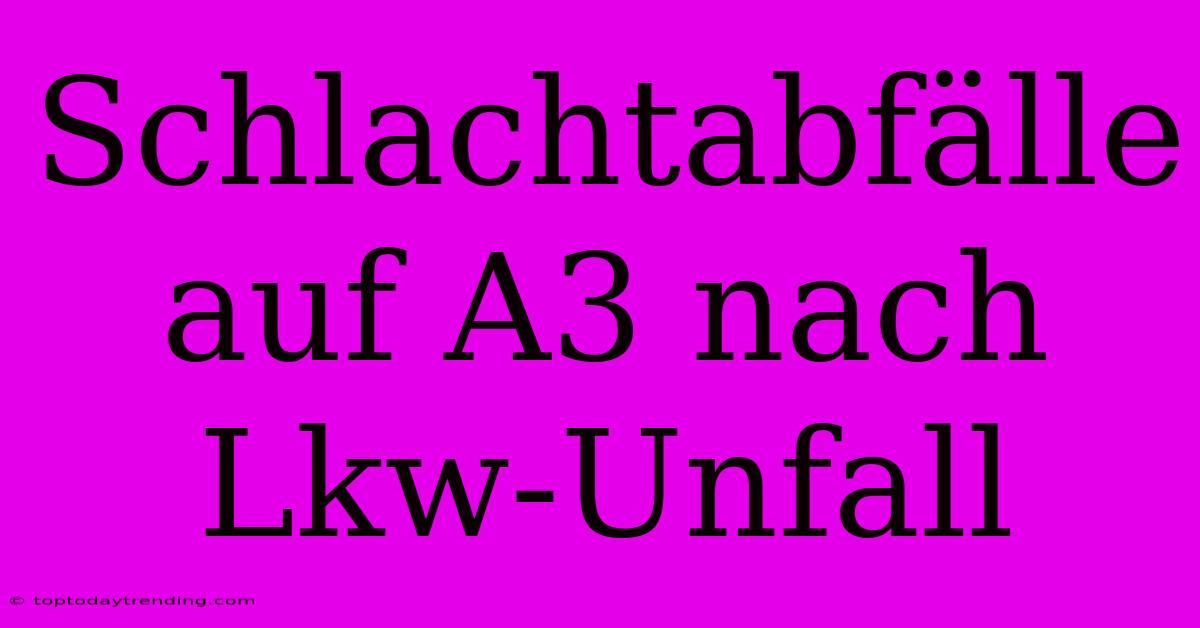 Schlachtabfälle Auf A3 Nach Lkw-Unfall