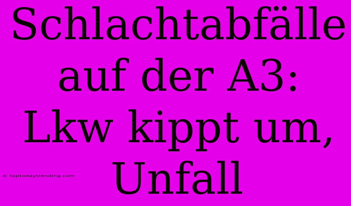 Schlachtabfälle Auf Der A3: Lkw Kippt Um, Unfall