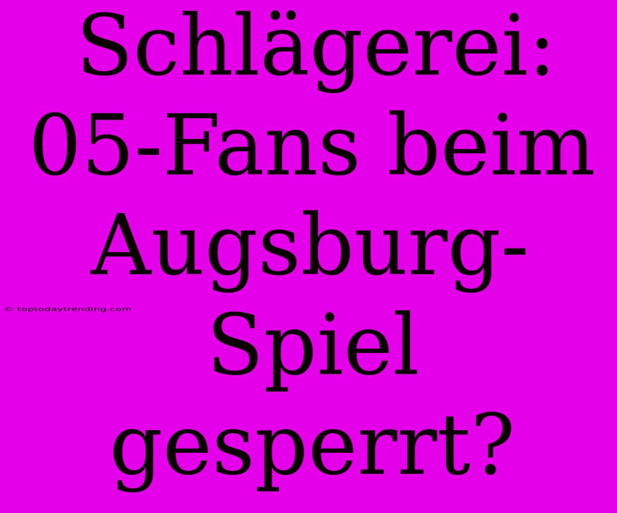 Schlägerei: 05-Fans Beim Augsburg-Spiel Gesperrt?