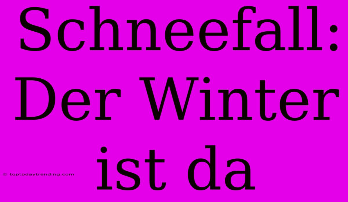 Schneefall: Der Winter Ist Da