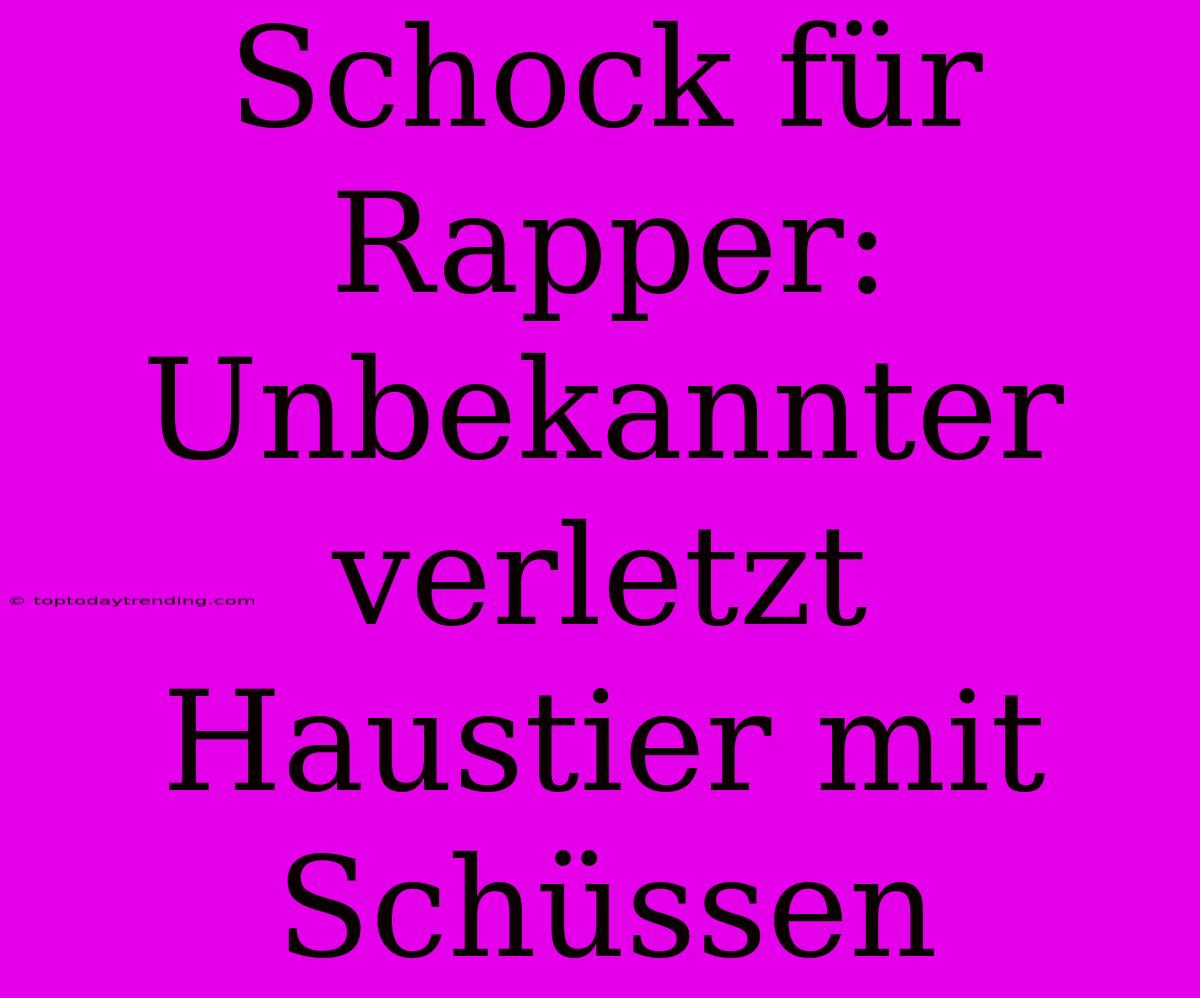 Schock Für Rapper: Unbekannter Verletzt Haustier Mit Schüssen