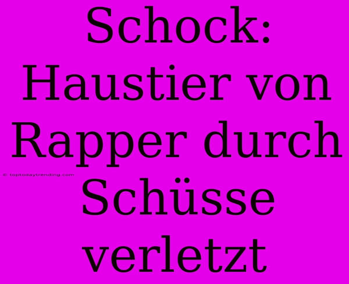 Schock: Haustier Von Rapper Durch Schüsse Verletzt