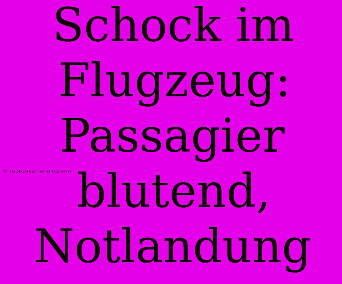 Schock Im Flugzeug: Passagier Blutend, Notlandung