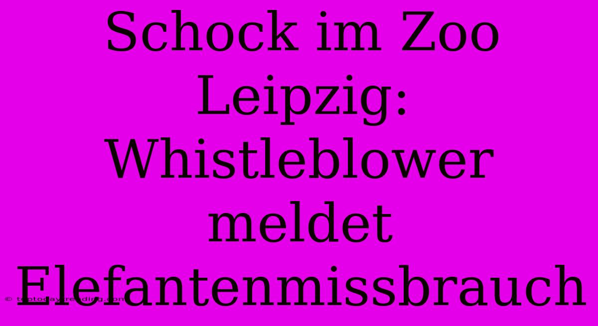 Schock Im Zoo Leipzig: Whistleblower Meldet Elefantenmissbrauch