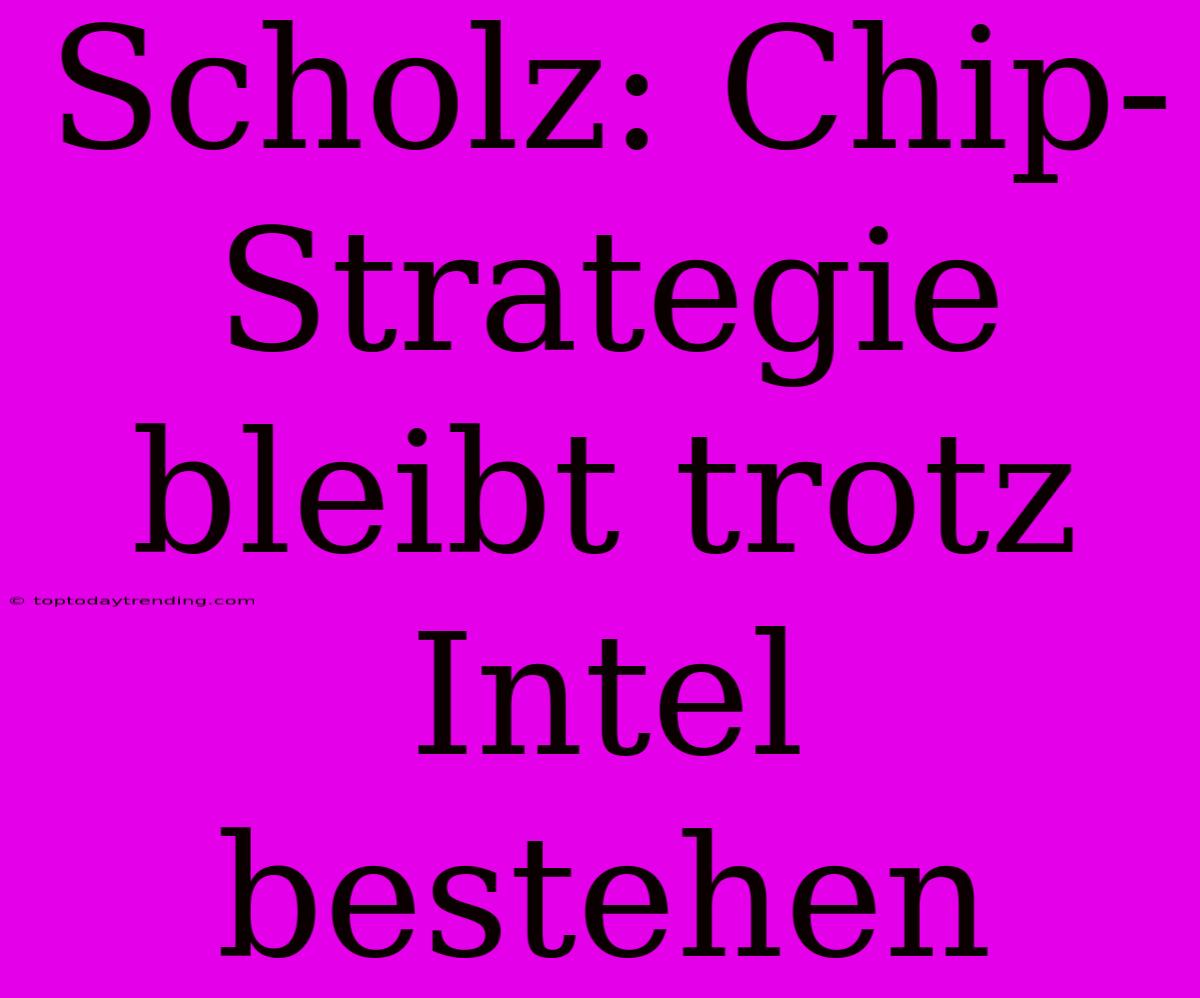 Scholz: Chip-Strategie Bleibt Trotz Intel Bestehen