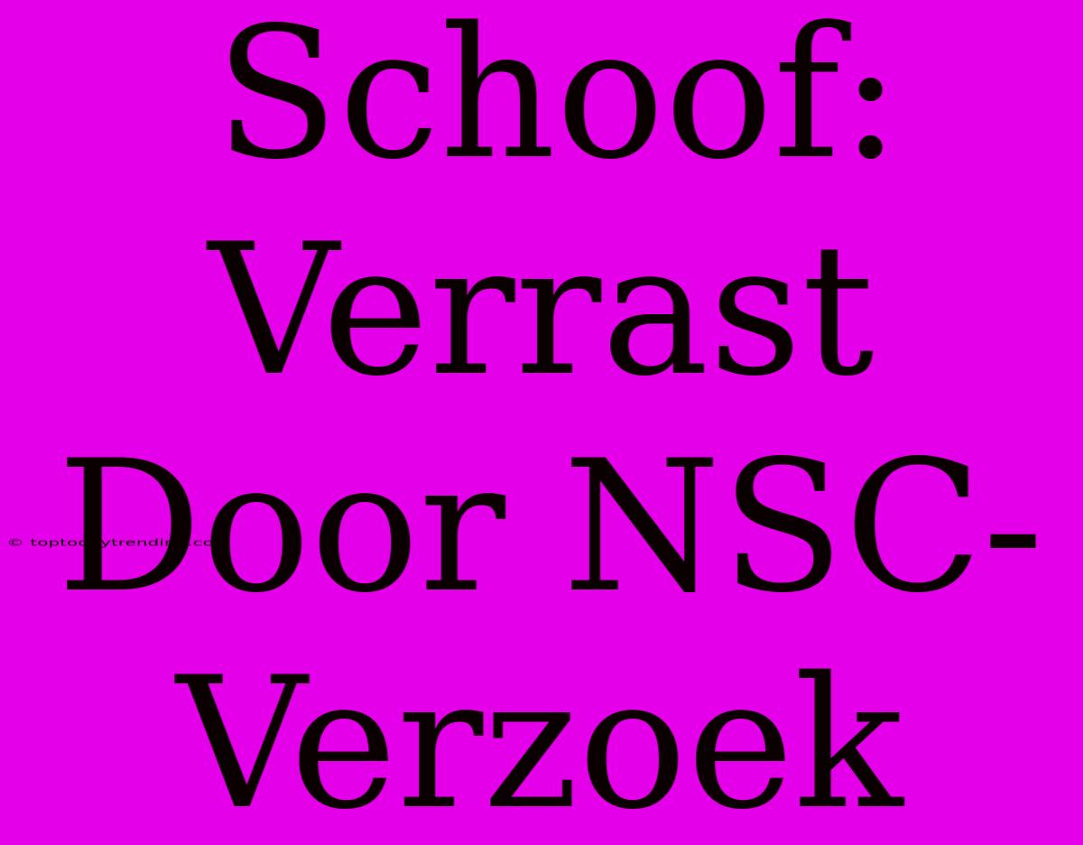 Schoof: Verrast Door NSC-Verzoek