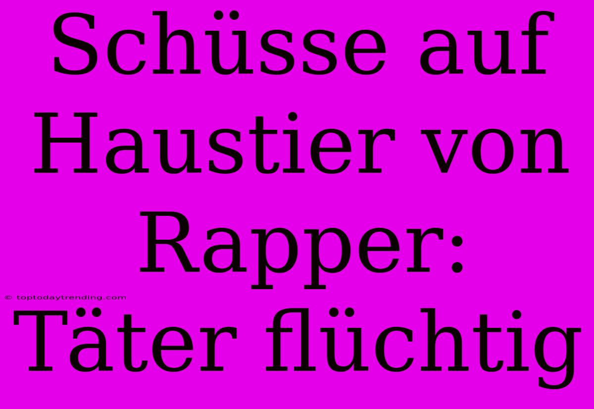 Schüsse Auf Haustier Von Rapper: Täter Flüchtig